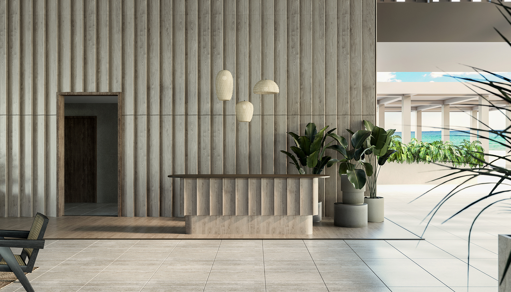 Aila Palm 6